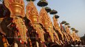 thrissur-pooram-2013-1 (45)